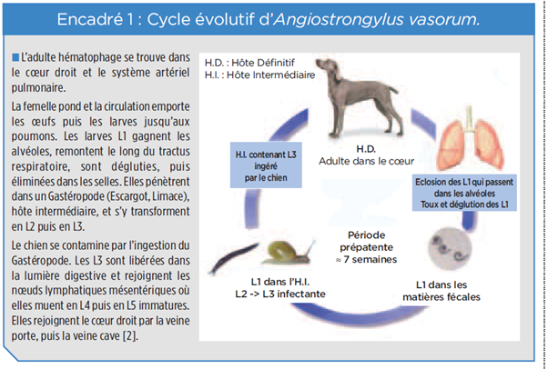 encadré 1